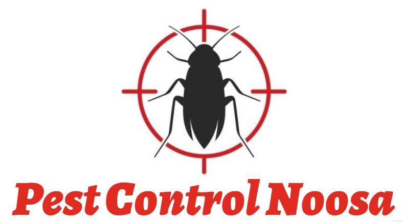 Pest Control Noosa